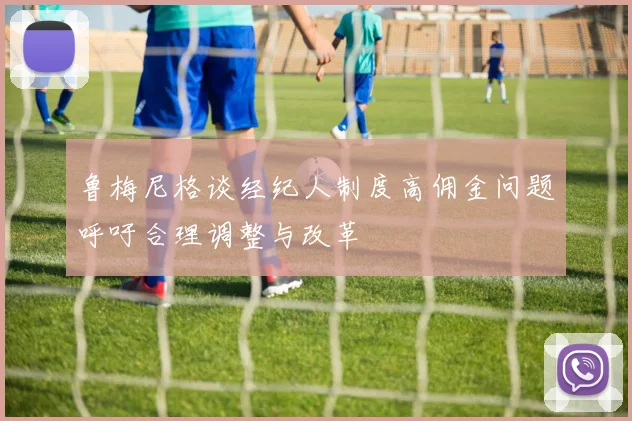 鲁梅尼格谈经纪人制度高佣金问题呼吁合理调整与改革